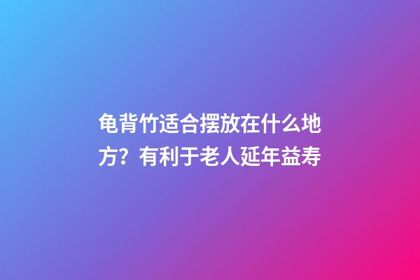 龟背竹适合摆放在什么地方？有利于老人延年益寿