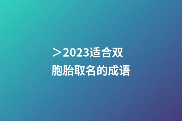 ＞2023适合双胞胎取名的成语