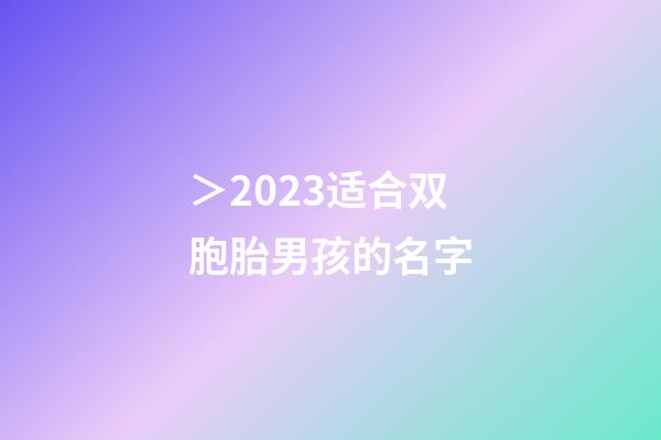 ＞2023适合双胞胎男孩的名字