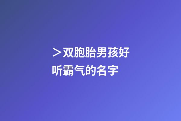 ＞双胞胎男孩好听霸气的名字