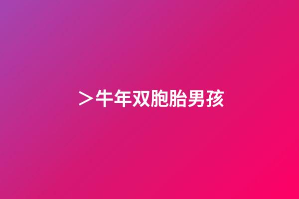 ＞牛年双胞胎男孩