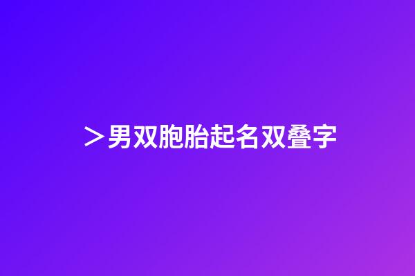 ＞男双胞胎起名双叠字