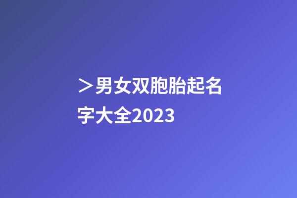 ＞男女双胞胎起名字大全2023